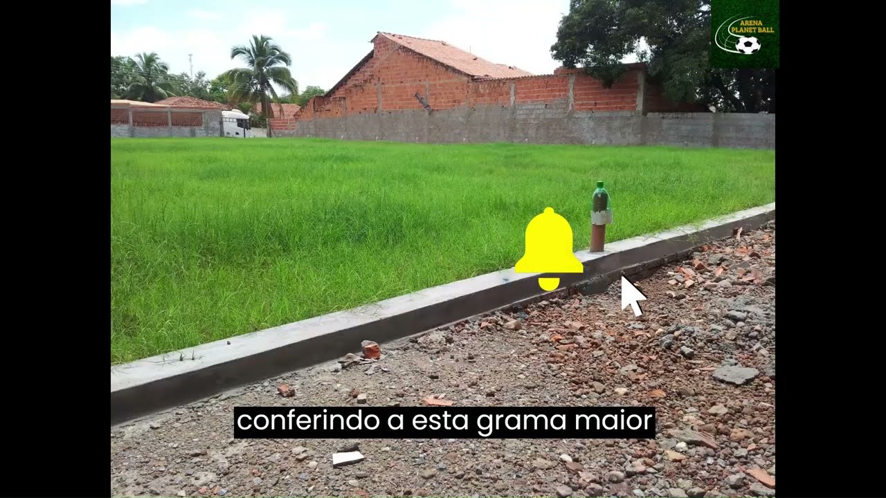 Gramado formado com as  sementes da grama bermudas #camposociety #gramabermudas #gramado