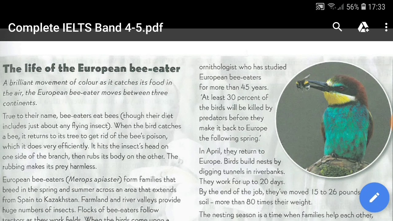 THE LIFE OF THE EUROPEAN BEE-EATER