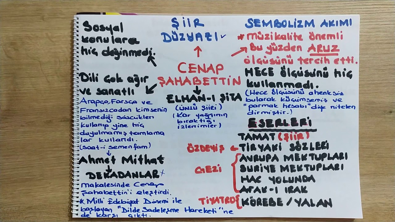 SERVET-İ FÜNUN SANATÇILARI 2 -CENAP ŞAHABETTİN-