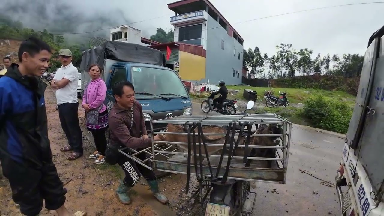 Discover the Traditional H'Mong Pig Market in Vietnam