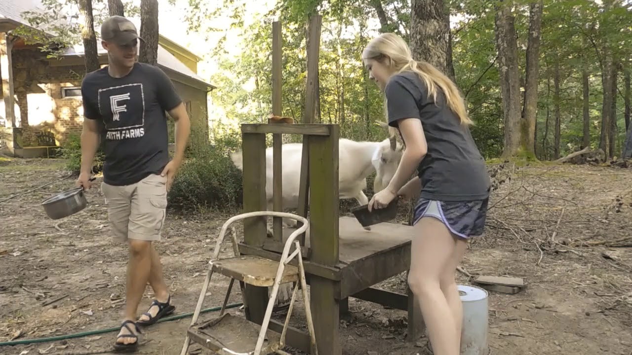 Chores around our farm
