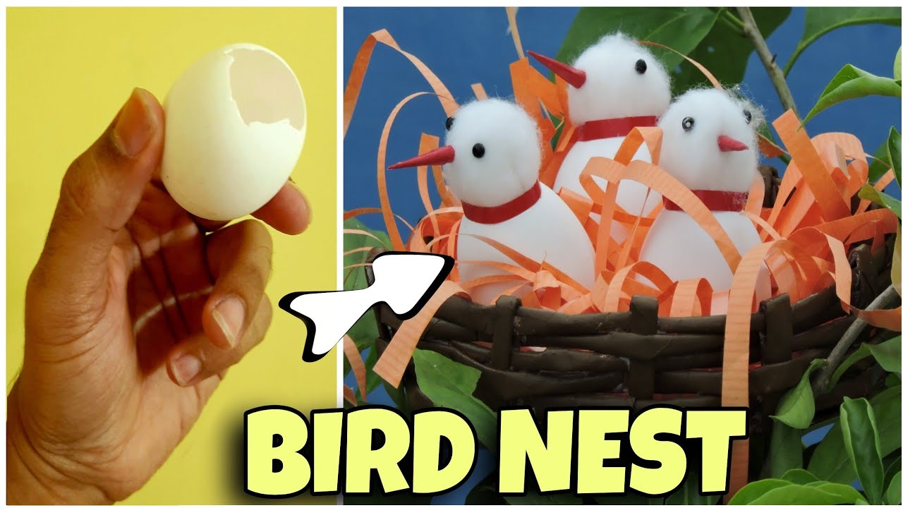 How to make bird nest | Bird nest from egg shell | DIY bird nest | H.Tarafder