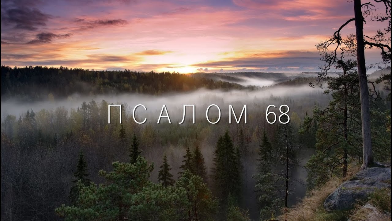 ПСАЛОМ  68. Спаси меня, Боже, ибо воды дошли до души моей