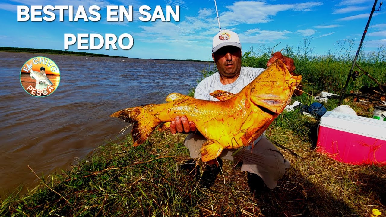 EN EL PASCUAL Y EN LA BRAVA. DOS LUGARES PARA LAS BESTIAS... con el COLO ALMADA.