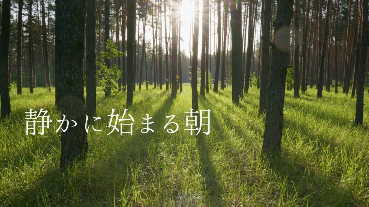 森と光に包まれる、静かなBGM