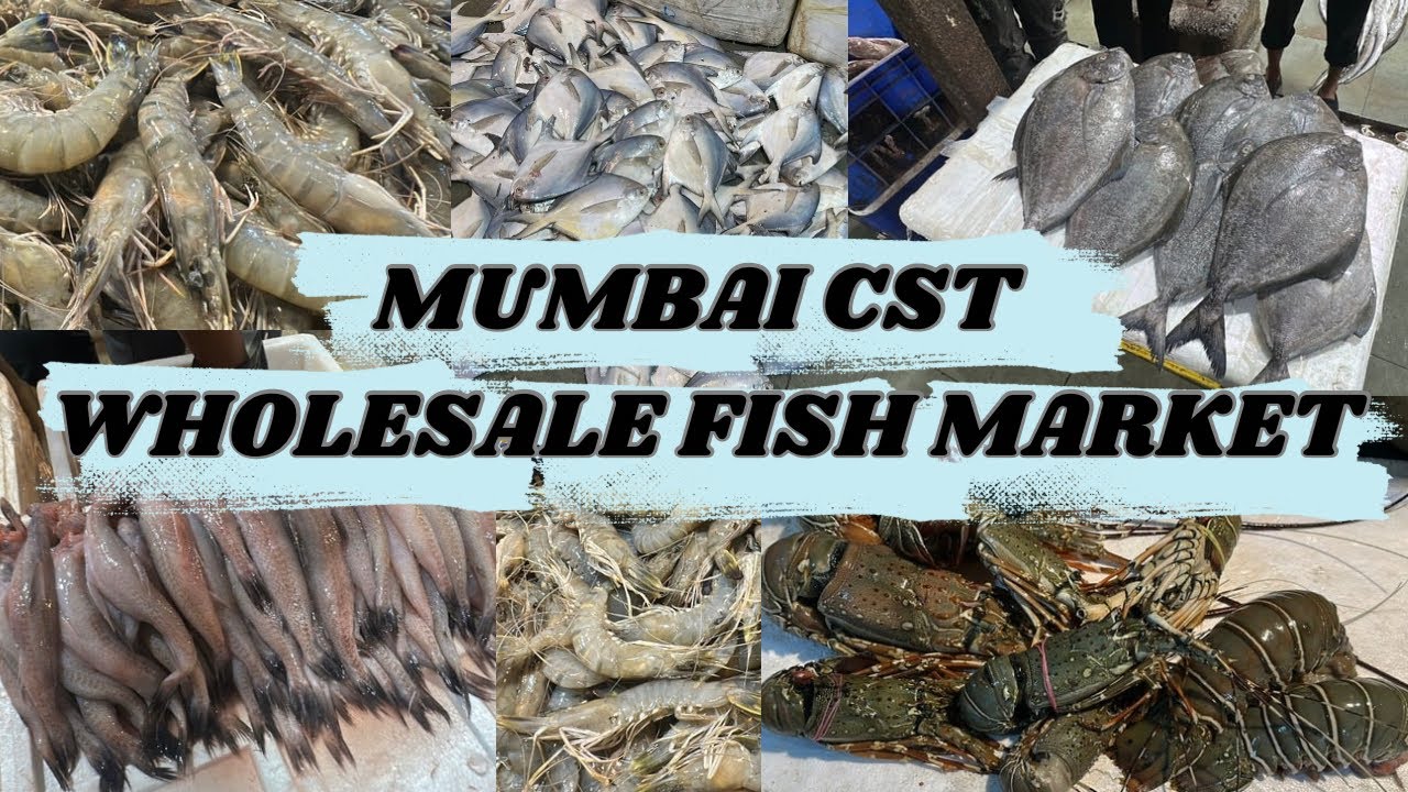 Latest Mumbai CST Fish Market | Wholesale Fish Market 2025 | मुंबईचा सर्वात स्वस्त फिश मार्केट