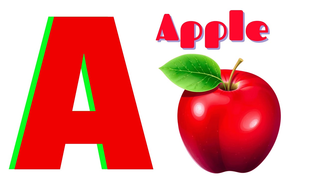 Kindergarten Learning Videos for Children | ABC Song and Numbers Song