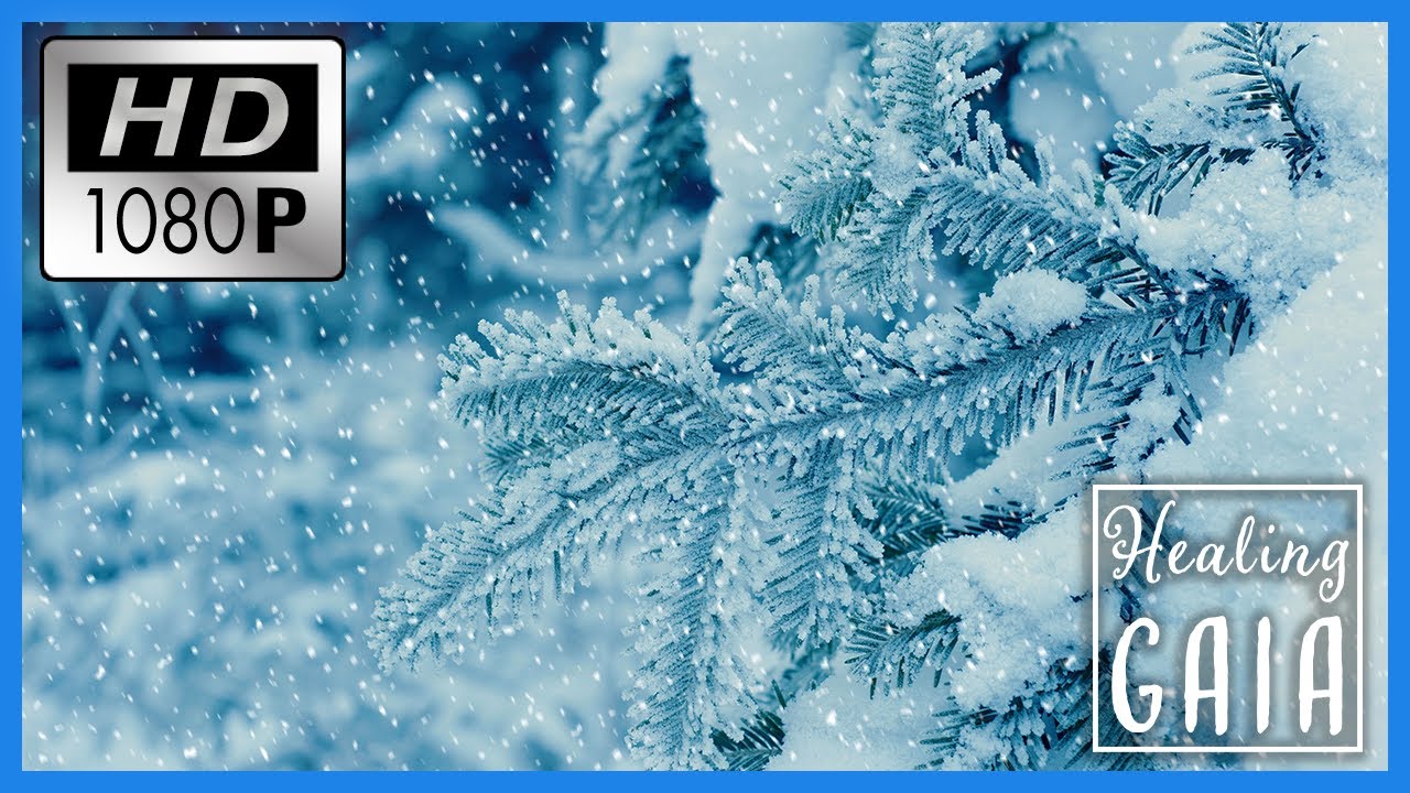 ⛄🎄 Sonidos de INVIERNO para DORMIR ▶ Tormenta de NIEVE SUAVE 🚡🎄 [8 HORAS]