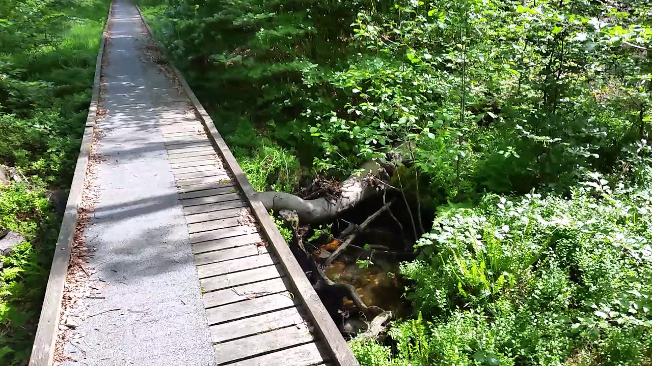 Das ESCHFEEN in der SCHNEIFEL