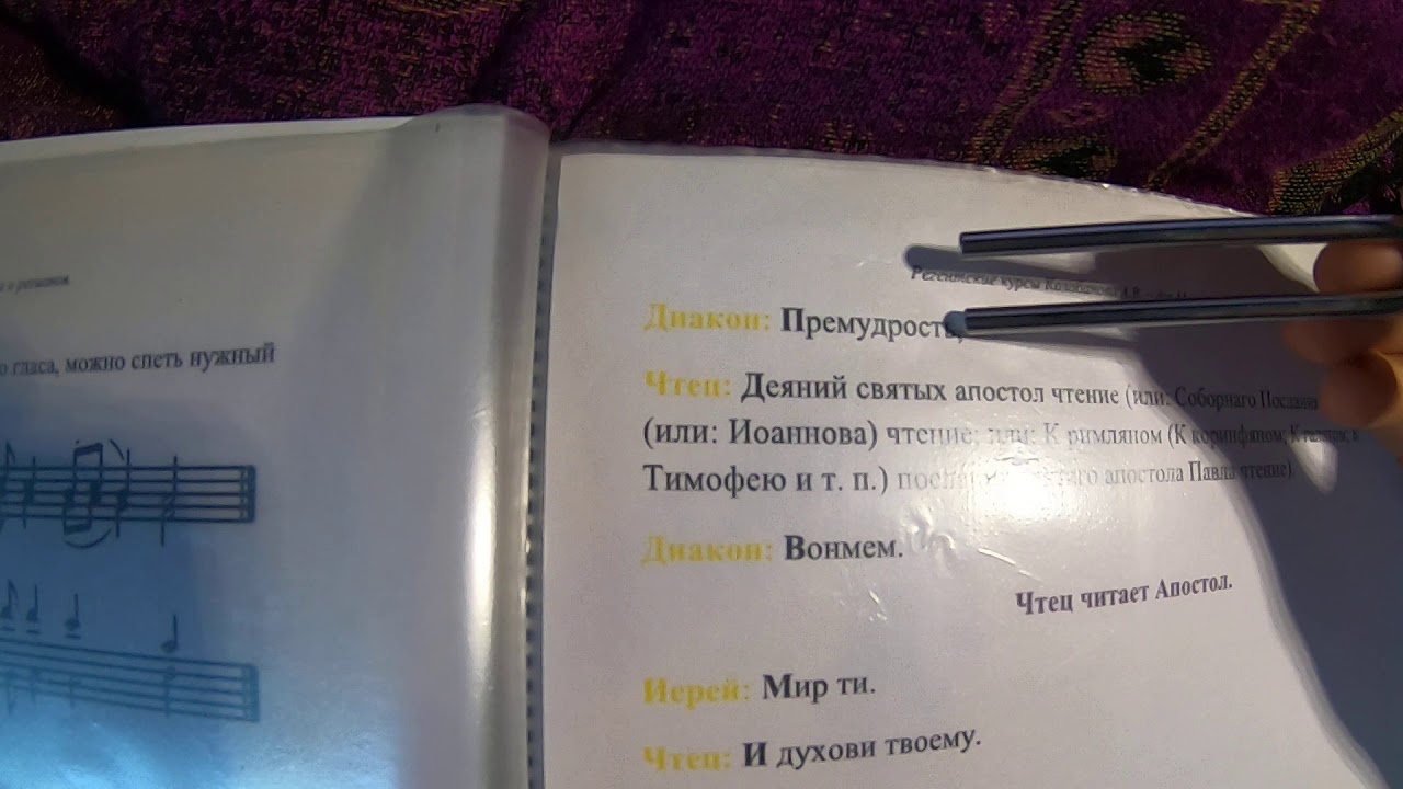 Общие Прокимны и Аллилуия. Обучающее видео.