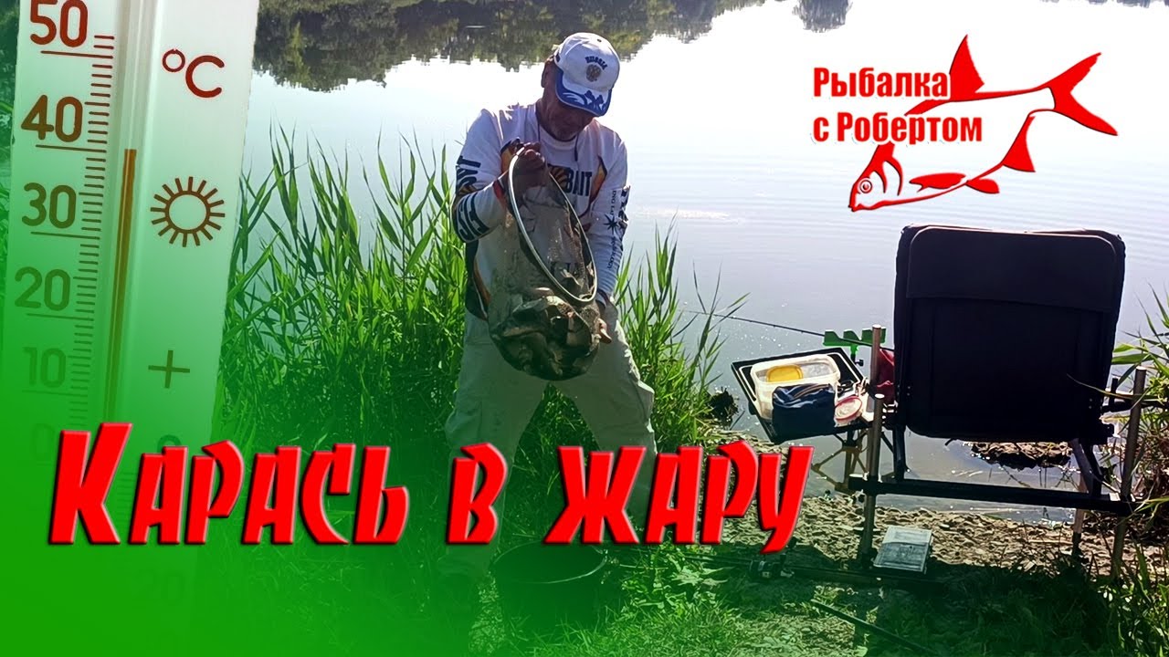 Карась на фидер в жару.