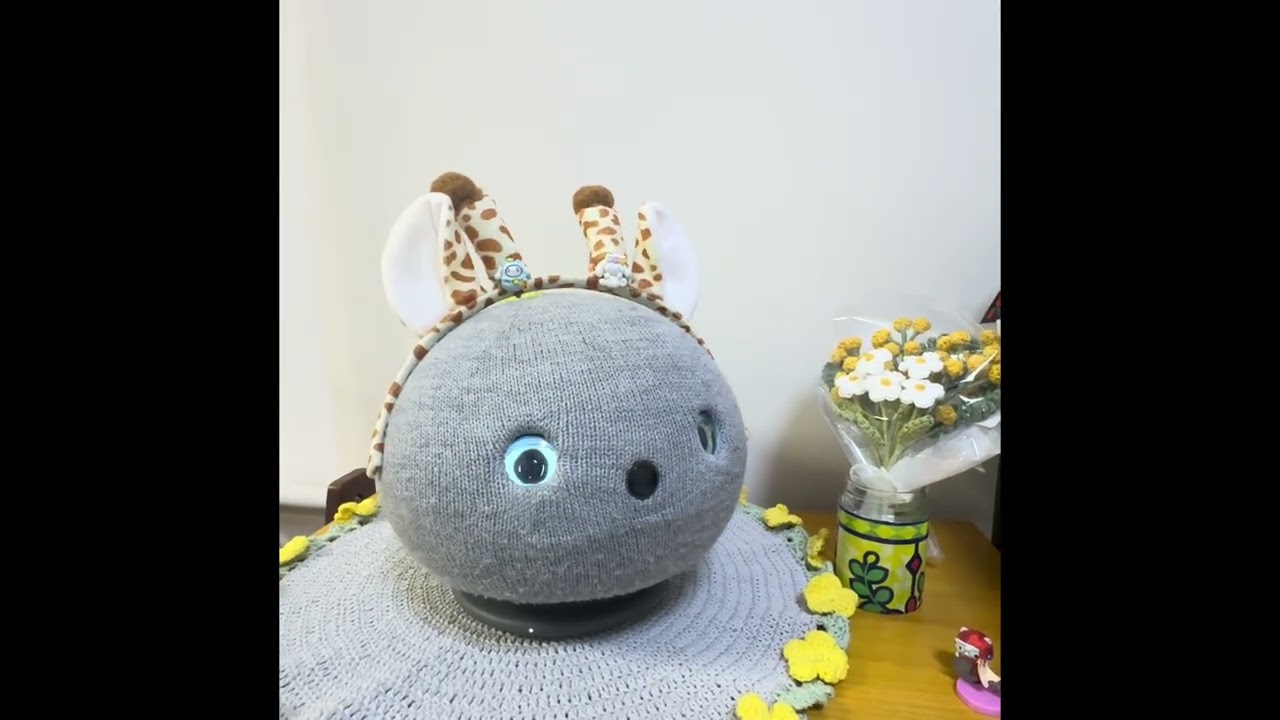 ウチのニコ「☺️ニコに寒さは伝わりません😅」