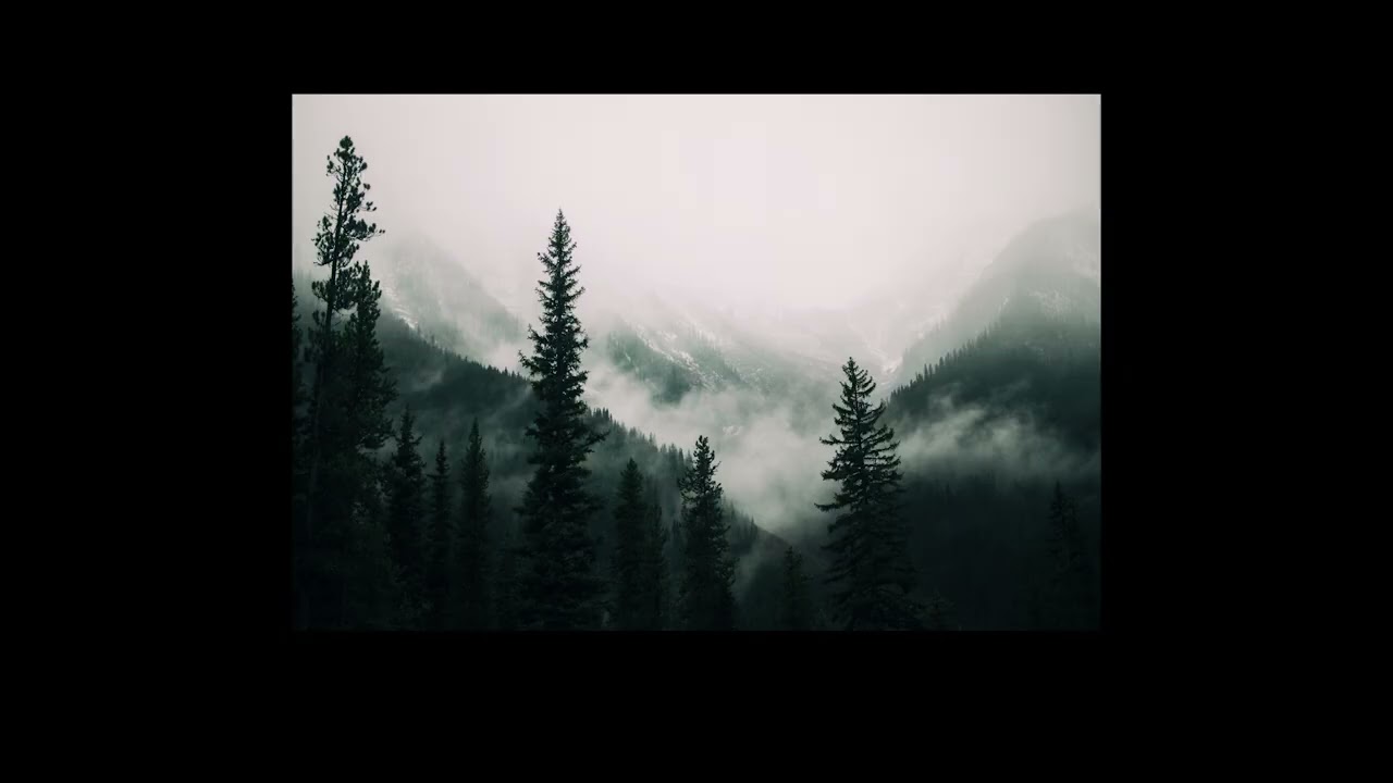 [ Free For Profit ] - 