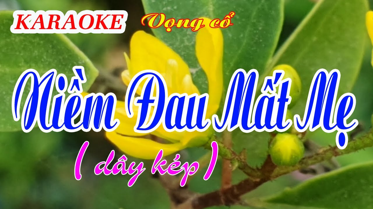 Karaoke _  Niềm Đau Mất Mẹ _  Dây Kép