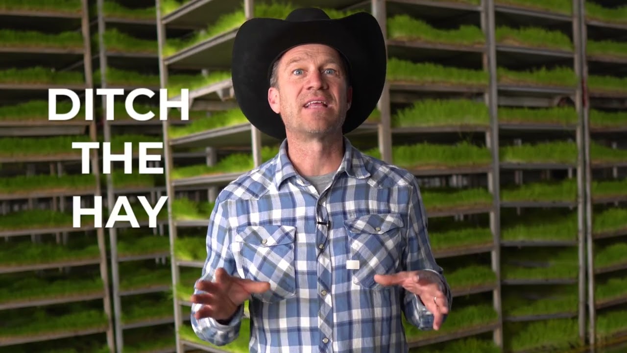 Learn why hundreds of horse owners are switching to sprout pellets