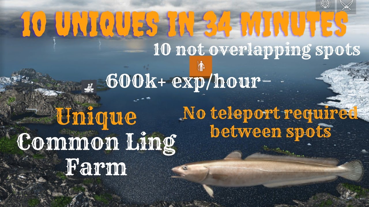 Unique Common ling Rotation + EXP Farm | Skårland Fjord | Fishing Planet