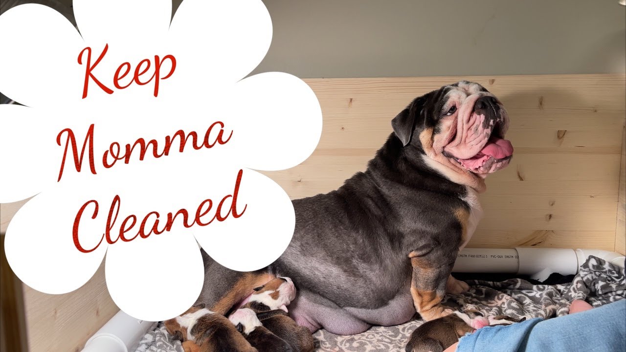 After C-Section Care…Very Important