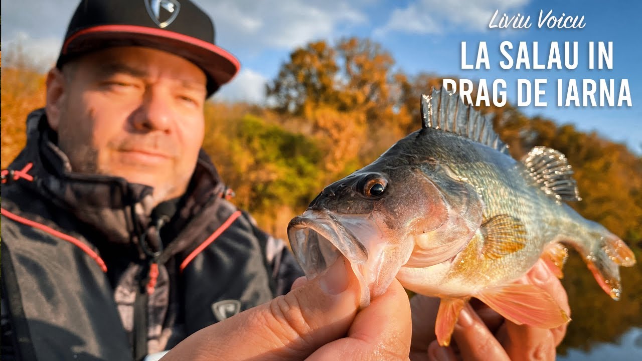 Pescuit la salau in prag de iarna - balta pe Milotina 2