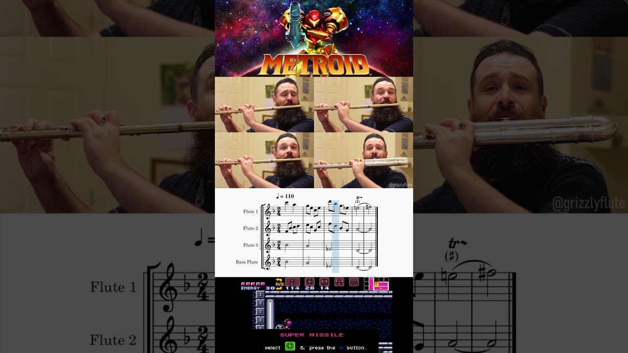 Item Found - Metroid // Flute Cover