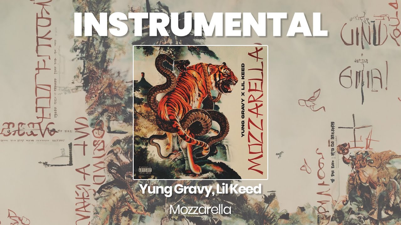 INSTRUMENTAL BEAT : Mozzarella - Yung Gravy, Lil Keed