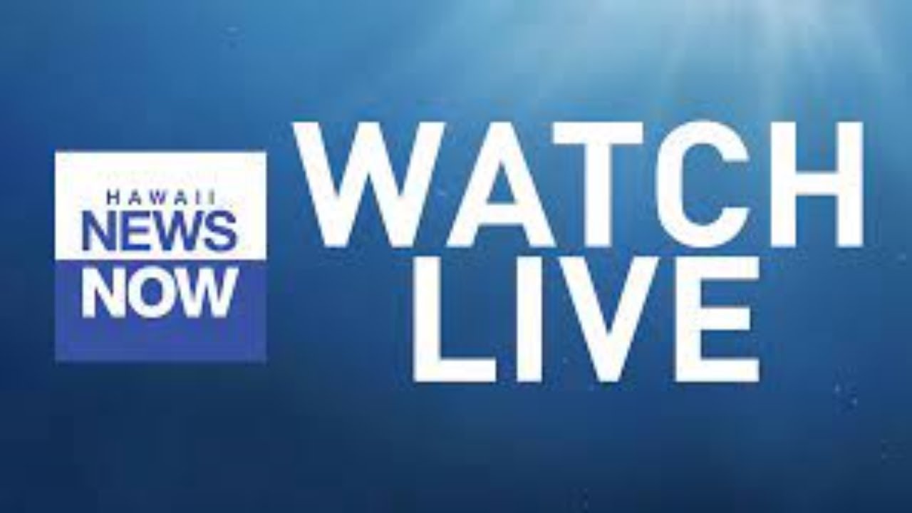 LIVE STORM Q&A Several rounds of heavy rain heading into the weekend (March 19, 2026)