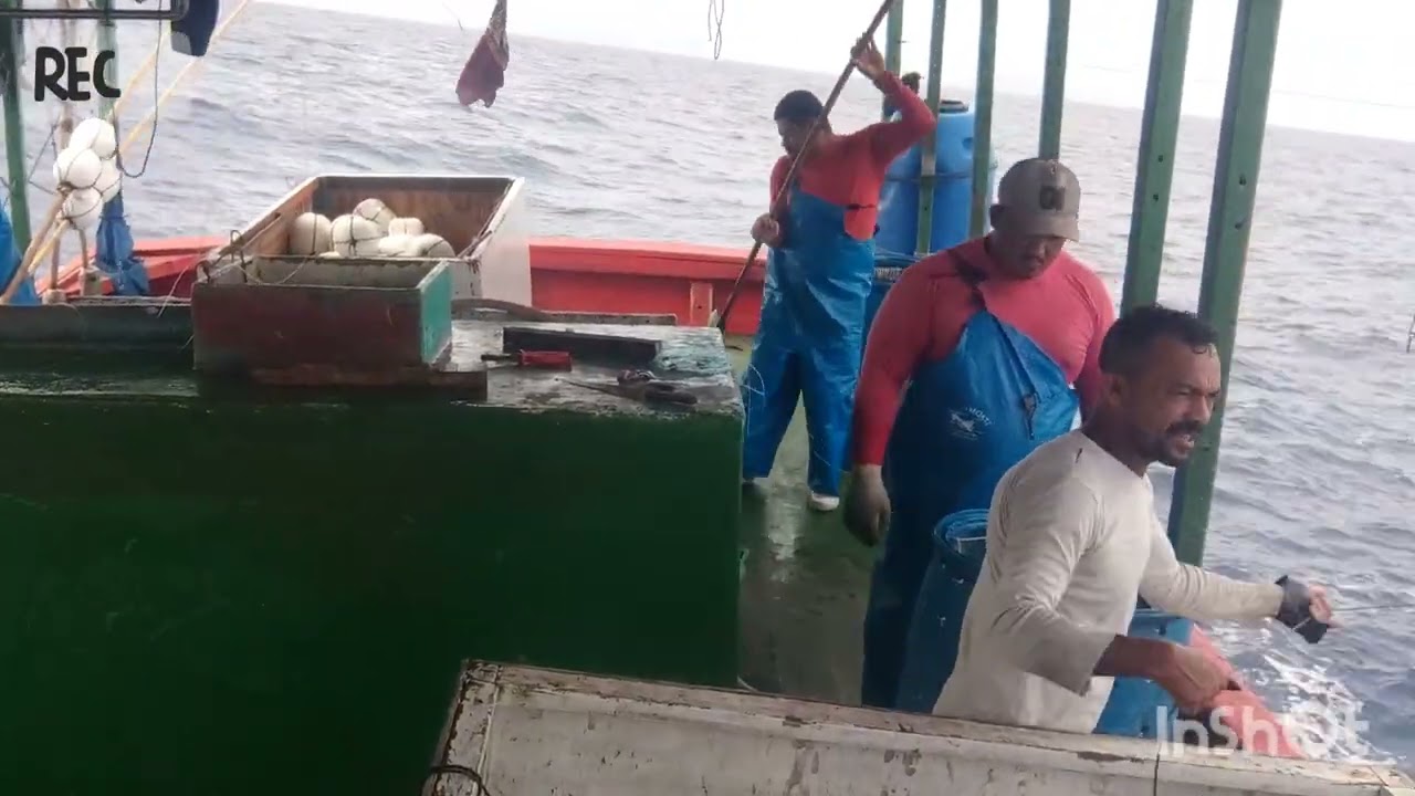 Pescaria de Dourado em Alto Mar com Lima Pescador#pesca #foryou #viralvideo 