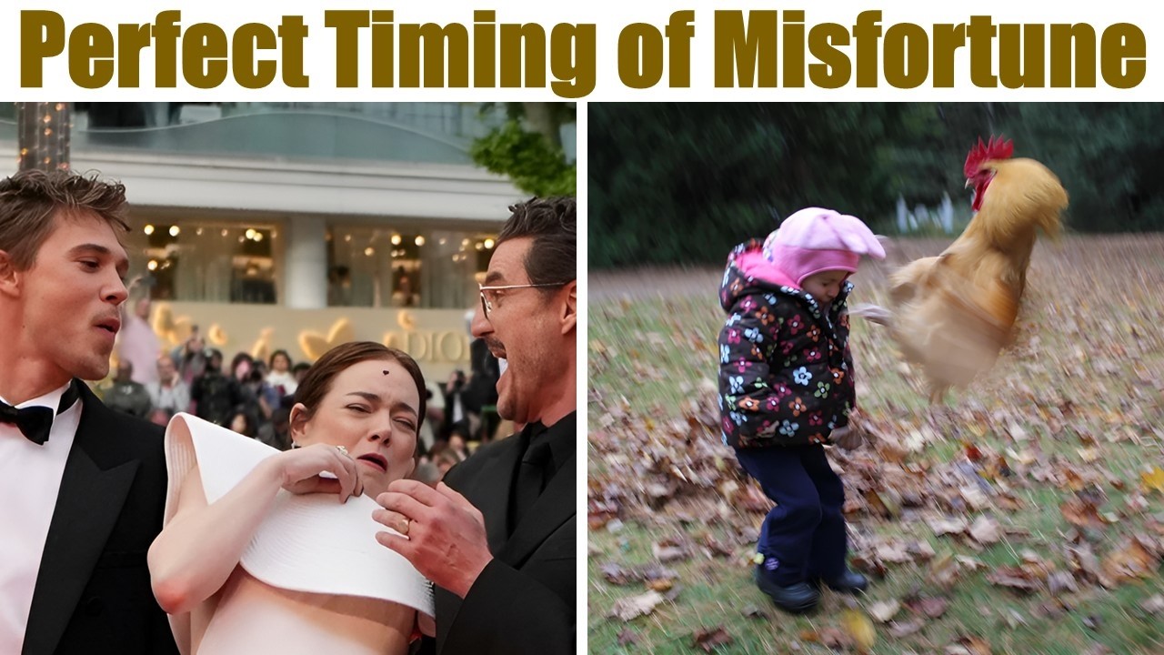 Unlucky Images Taken at Exactly the Right Time