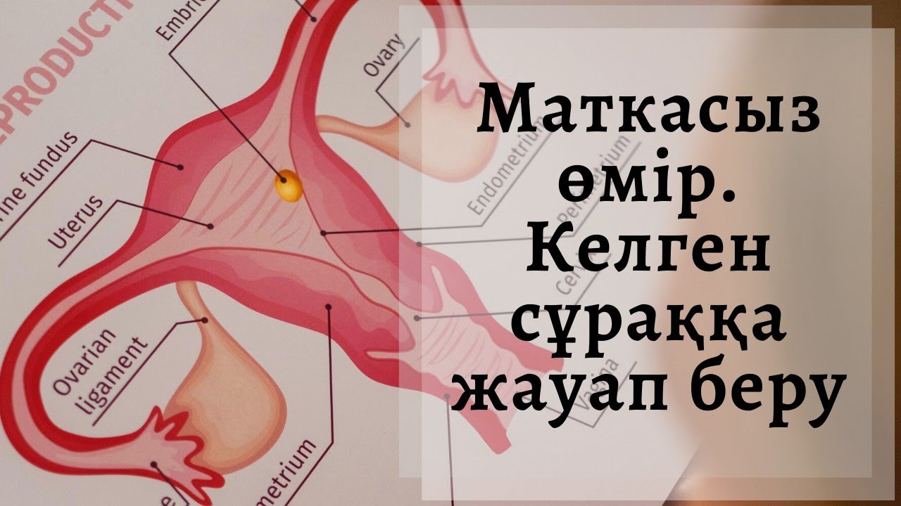Маткасыз өмір. Келген сұраққа жауап беру.