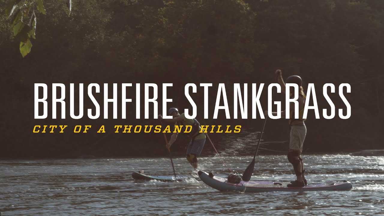 Brushfire Stankgrass - Standing