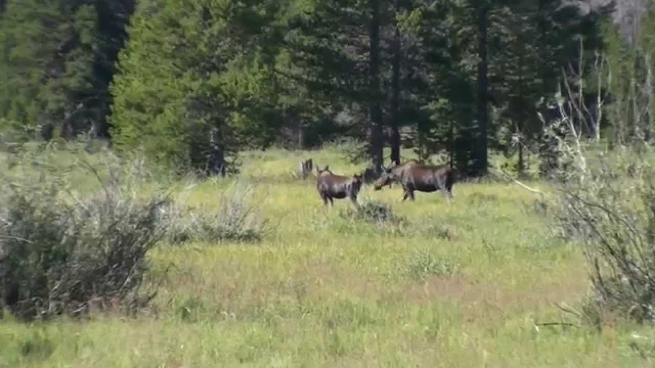 La Gran Ruta del Oeste - 4 - Desde Rocky Mountain N P  a Los Angeles