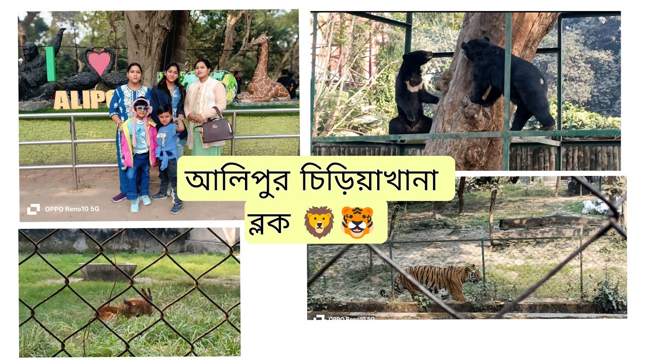 বছরের শুরুতে চলে গেলাম আলিপুর চিড়িয়াখানায় 😊🦁🐯🐻