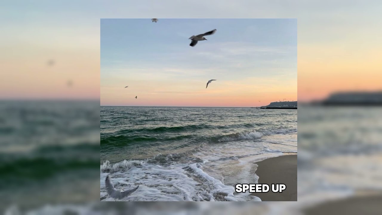 MOLODI - my sea (speed up)