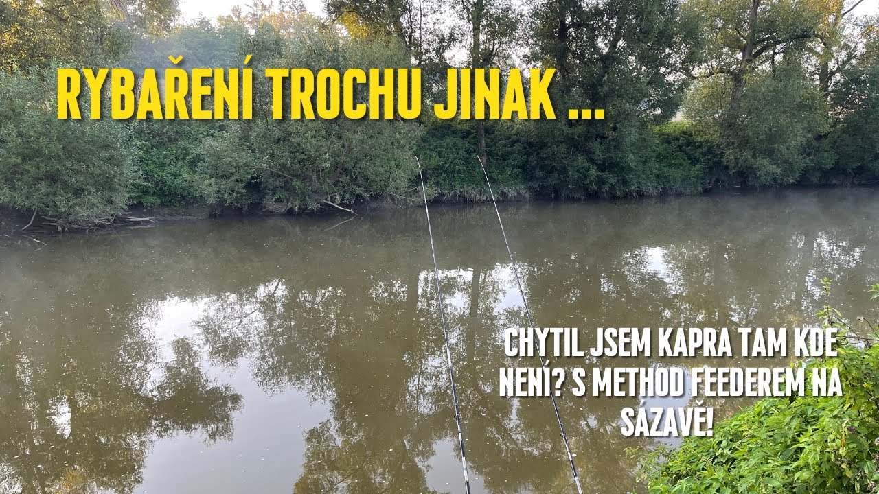 Chytil jsem kapra tam, kde není? Method feeder na řece Sázavě.