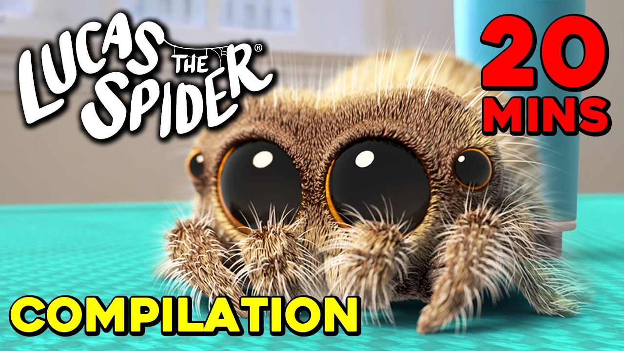 Another 20 Minute Compilation of Lucas the Spider Episodes!