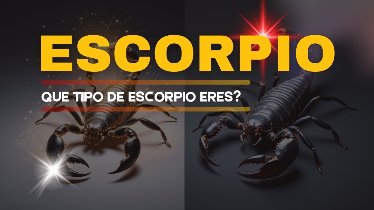 Descubre si Eres un Escorpio Despierto o Uno Atrapado en la Oscuridad