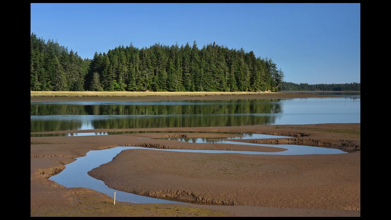 Willipa Bay Sequence