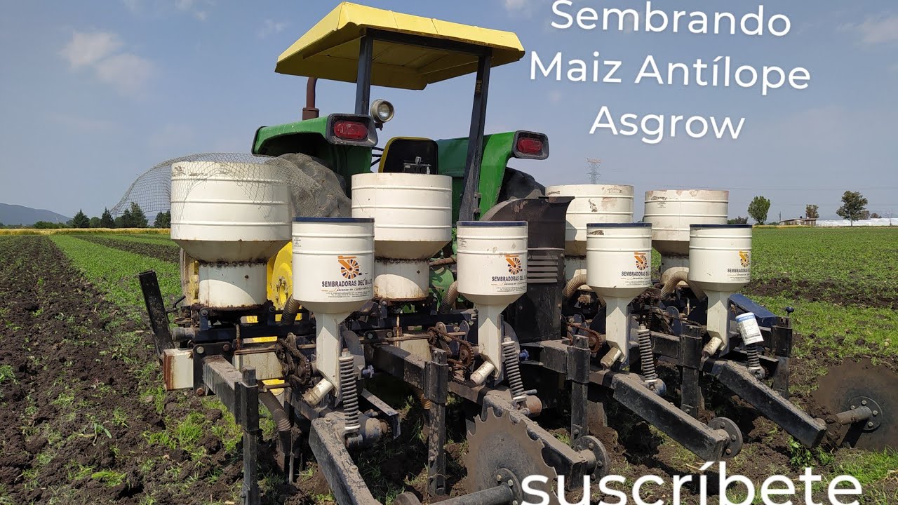 Sembrando maíz Antílope con sembradora de precisión