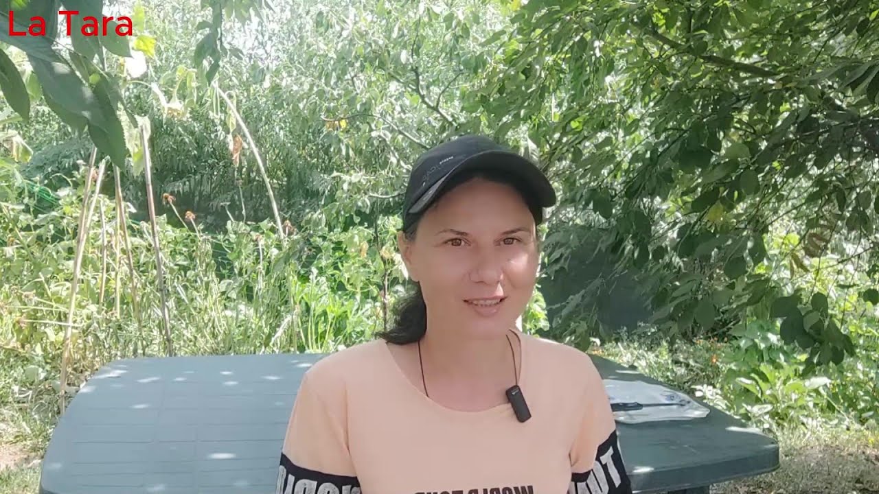 După 13 ani de trai la țară. Vindem semințe și produse ?