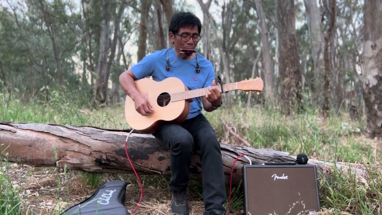 Count Your Blessings - Bushland Session | Guitar & Harmonica Cover
