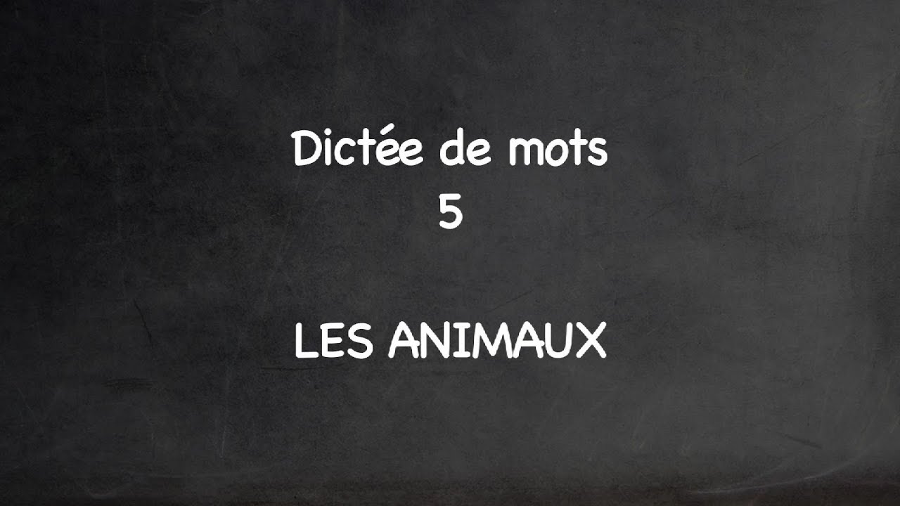 Learn French - Dictation - Dictée de mots 5 - Animaux