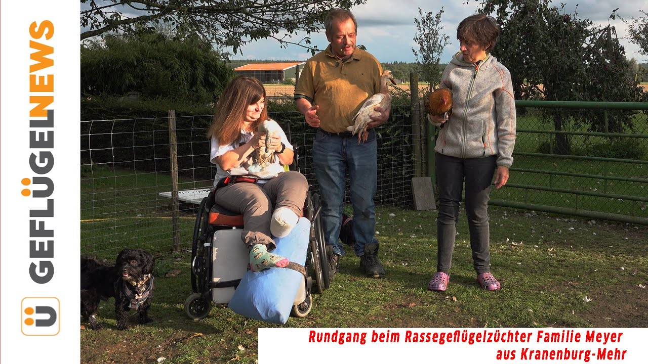 Rassegeflügel-Züchter stellt sich vor - Westf. Totleger, Laufenten, Twenter u. fränk.Landgänse