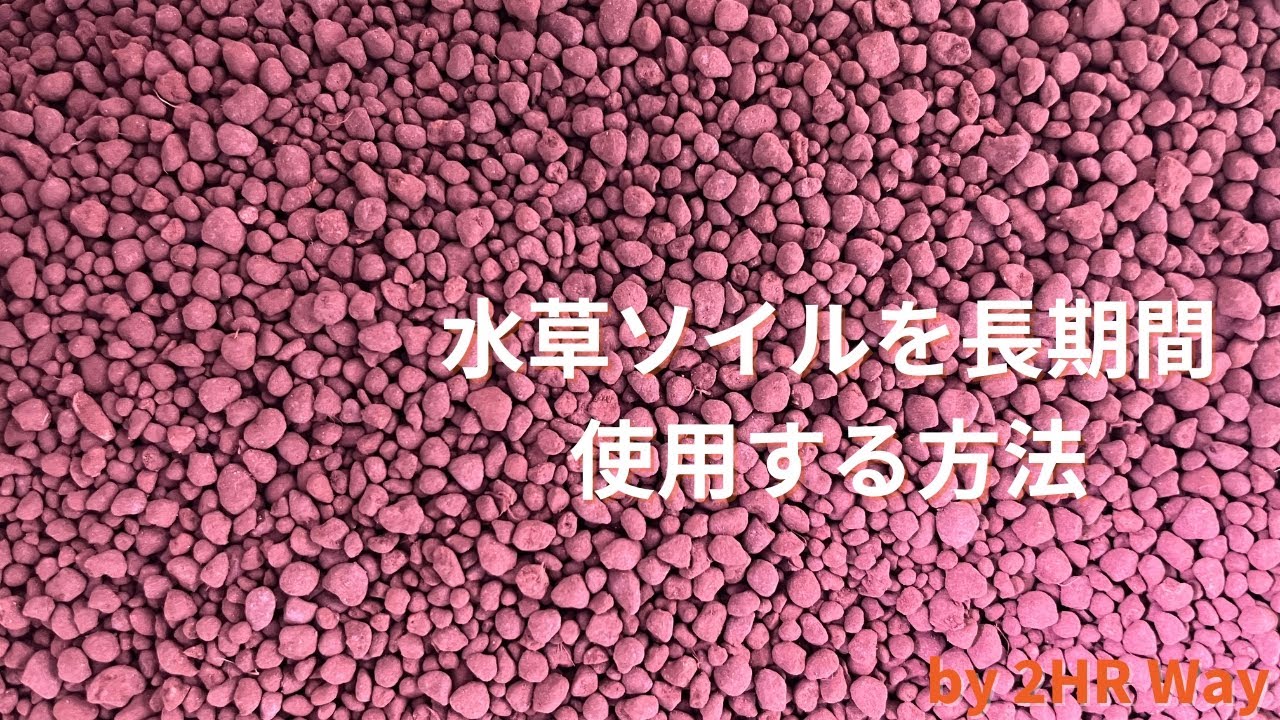 ソイルの維持管理方法【アクアリウム 水草水槽】
