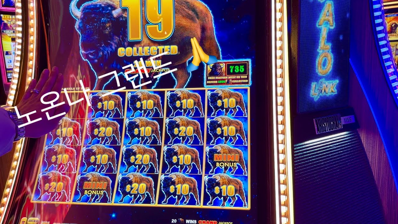 라스베가스 슬롯머신 7탄. 아리아호텔 카지노에서 버팔로들 덤벼라. Las Vegas Aria Casino slot machine.