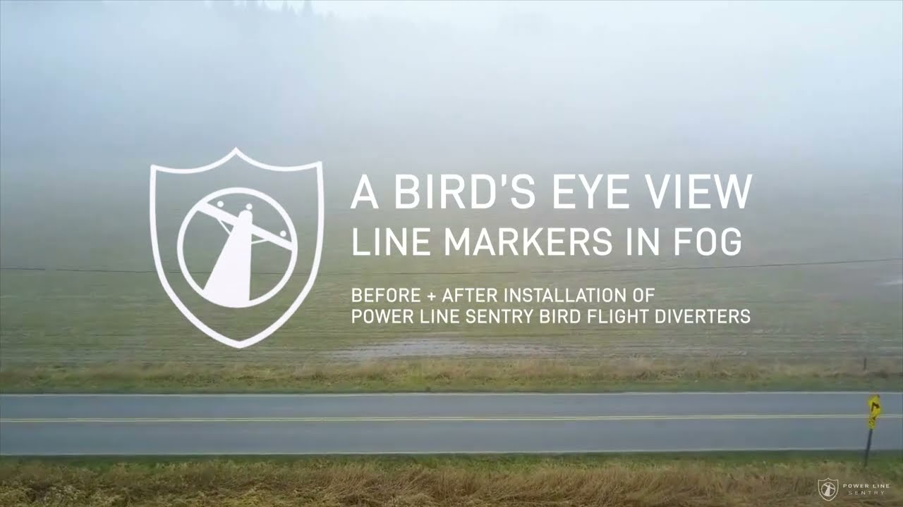 Birds Eye View of Hawk Eye Bird Flight Diverters in Fog