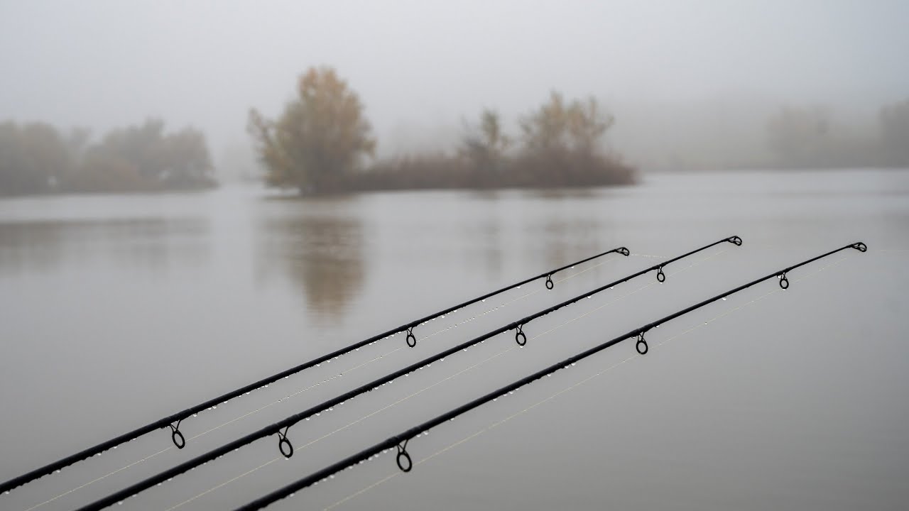 2022 Október Mór Ezerjó Horgásztó (Mono Carp Team)