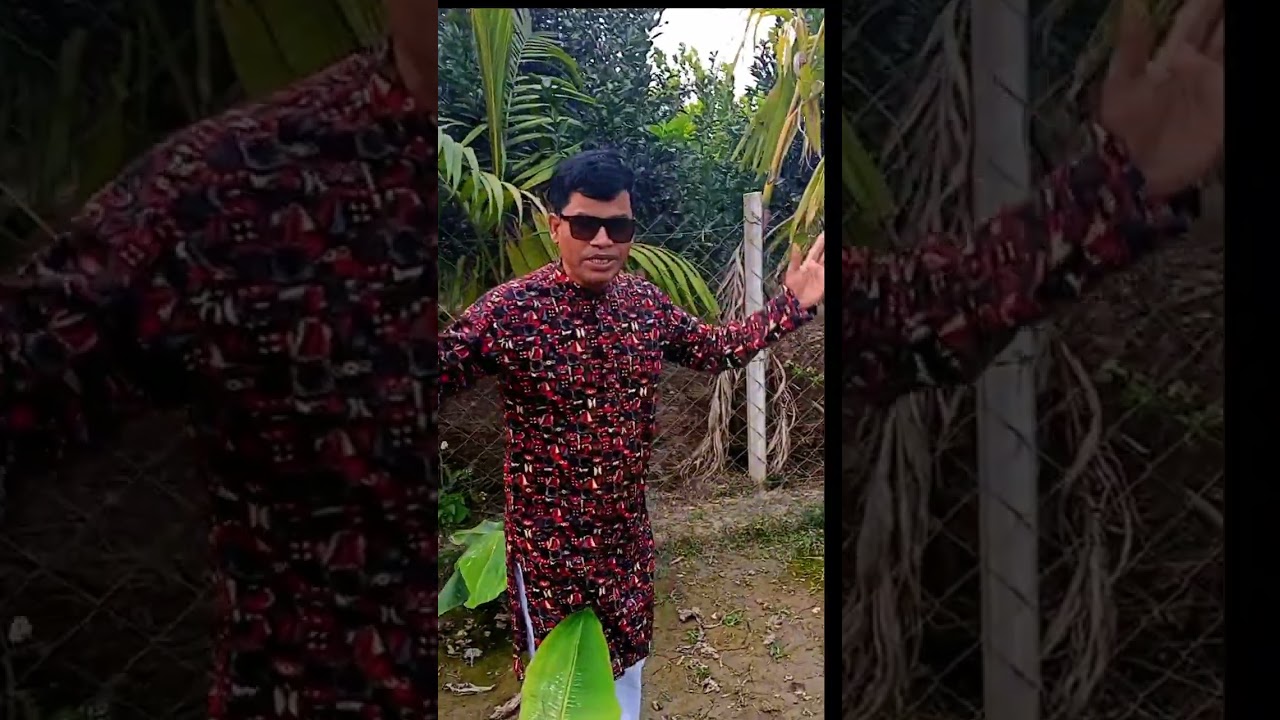 বিশাল বড় মাল্টার বাগান,,, চলো ঘুরে আসি এবং দেখি,, #দয়া করে সাপোর্ট করবেন, 