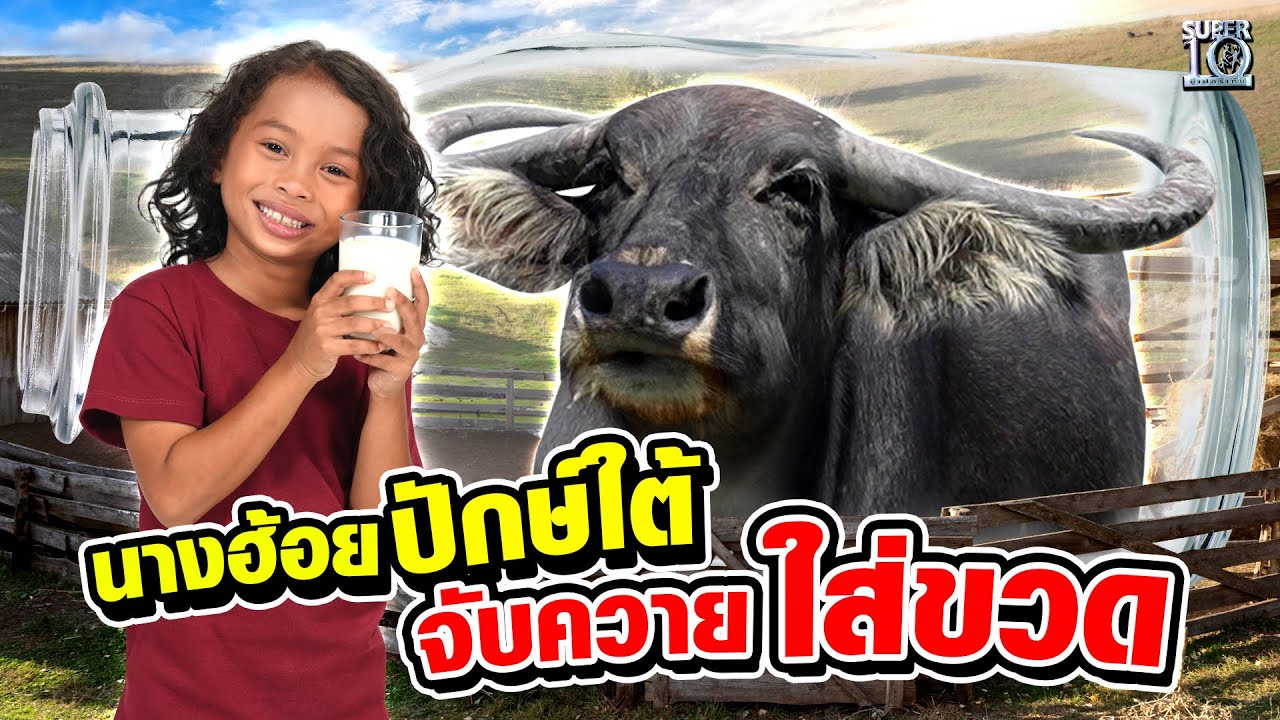 นางฮ้อยปักษ์ใต้ น้องกาฟิวส์ จับควายใส่ขวด | SUPER10
