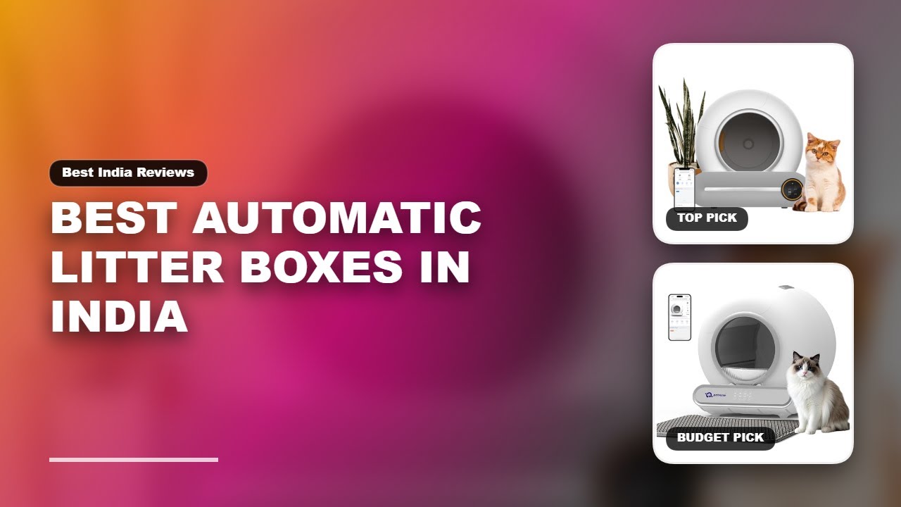 Best Automatic Litter Boxes in India | Automatic litter boxes