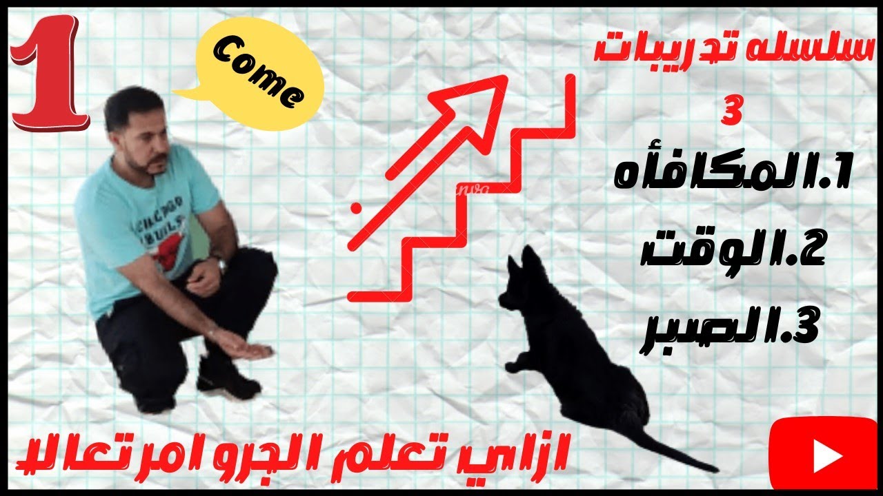 ازاي تدرب الكلب علي امر تعالا come بكل سهوله/ تدريب الكلاب علي امر تعالا come