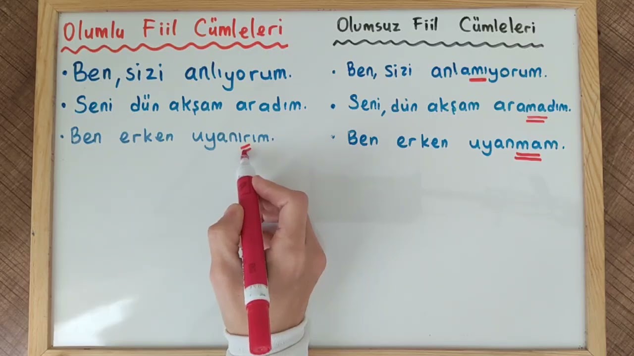 Türkçe Olumlu Fiil Cümlesi/ Olumsuz Fiil Cümlesi#Türkçe öğreniyorum#easyturkish#turkishforbeginners